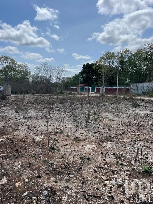 Terreno en Venta en Chichi Suárez, Mérida, Yucatán | NEX-289086 | iad México | Foto 5 de 5