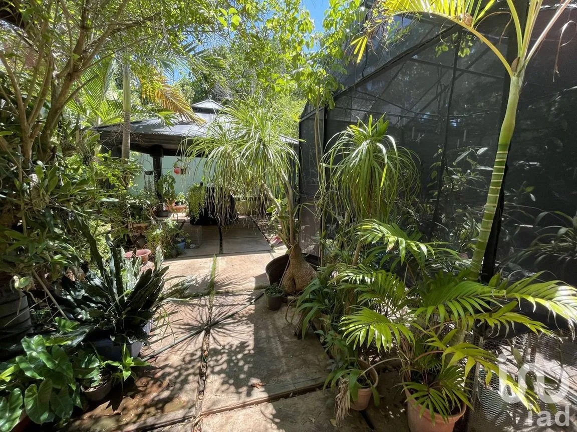 Casa en Venta en Mérida Centro, Mérida, Yucatán | NEX-289096 | iad México | Foto 17 de 26
