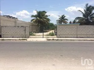 NEX-289107 - Terreno en Venta en Chicxulub Puerto, CP 97330, Yucatán.