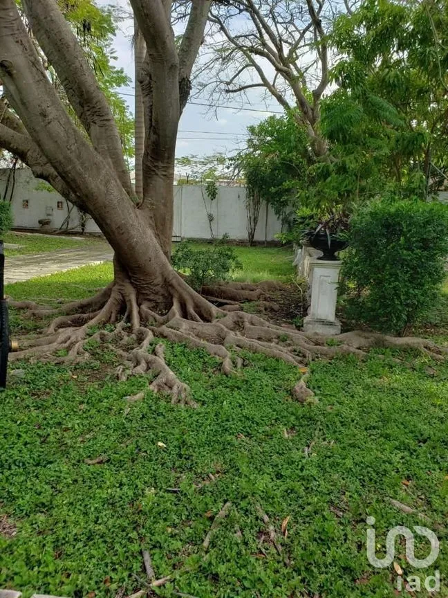 Terreno en Venta en Benito Juárez Nte, Mérida, Yucatán | NEX-289114 | iad México | Foto 14 de 25
