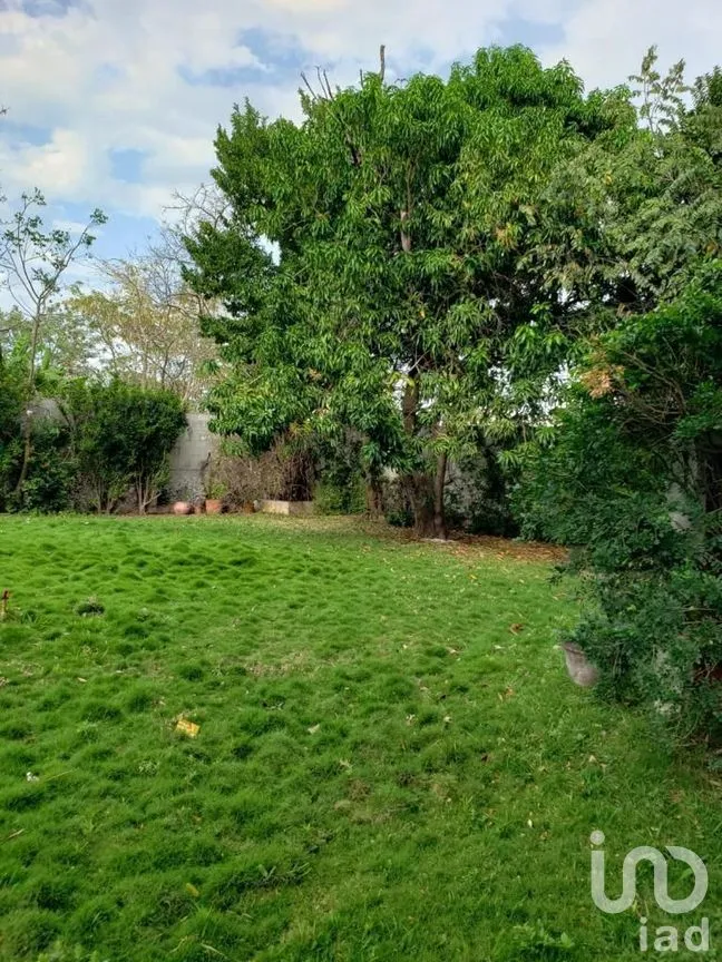 Terreno en Venta en Benito Juárez Nte, Mérida, Yucatán | NEX-289114 | iad México | Foto 18 de 25