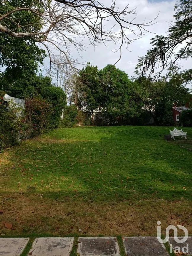 Terreno en Venta en Benito Juárez Nte, Mérida, Yucatán | NEX-289114 | iad México | Foto 3 de 25