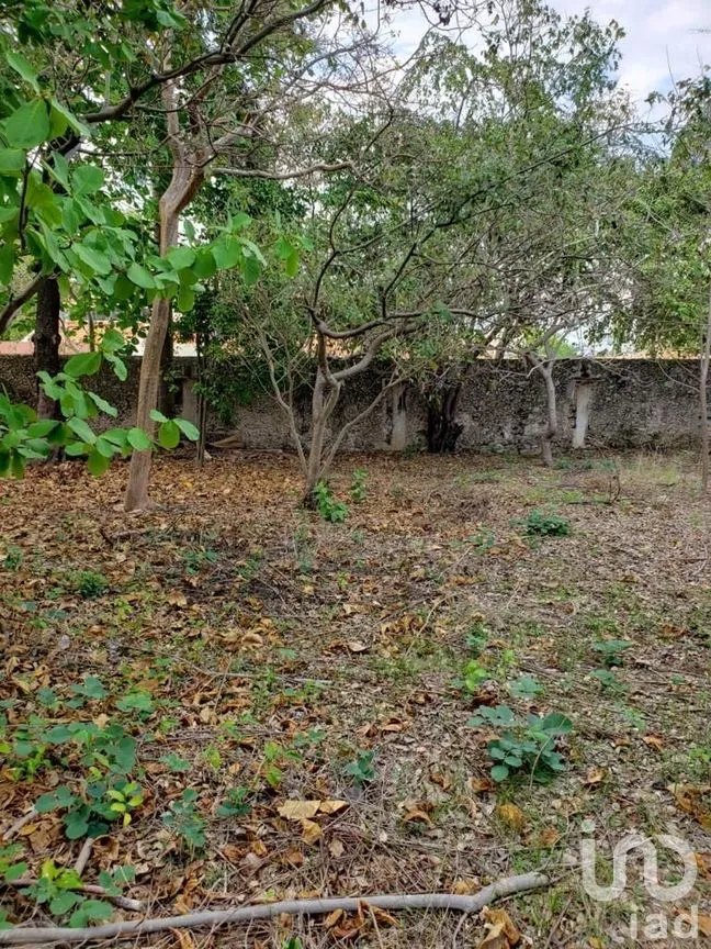 Terreno en Venta en Benito Juárez Nte, Mérida, Yucatán | NEX-289114 | iad México | Foto 23 de 25