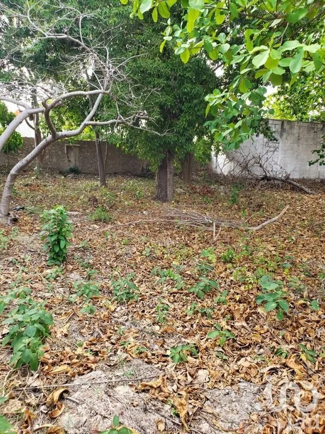 Terreno en Venta en Benito Juárez Nte, Mérida, Yucatán | NEX-289114 | iad México | Foto 24 de 25