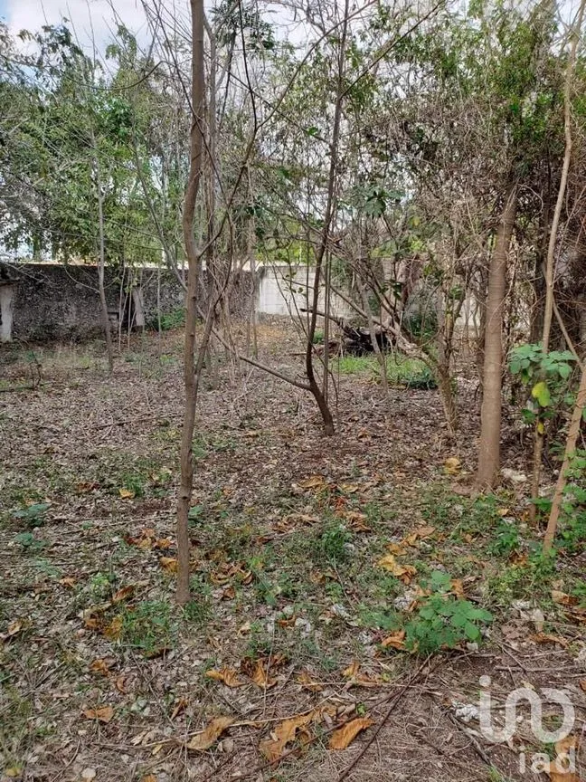Terreno en Venta en Benito Juárez Nte, Mérida, Yucatán | NEX-289114 | iad México | Foto 25 de 25