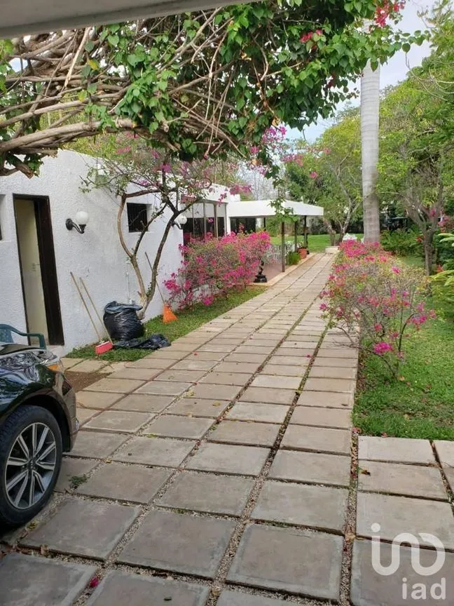 Terreno en Venta en Benito Juárez Nte, Mérida, Yucatán | NEX-289114 | iad México | Foto 4 de 25