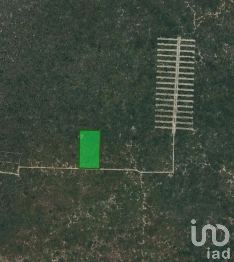 Terreno en Venta en Sierra Papacal, Mérida, Yucatán | NEX-289120 | iad México | Foto 1 de 4