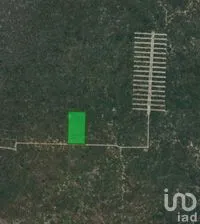 NEX-289120 - Terreno en Venta en Sierra Papacal, CP 97302, Yucatán.