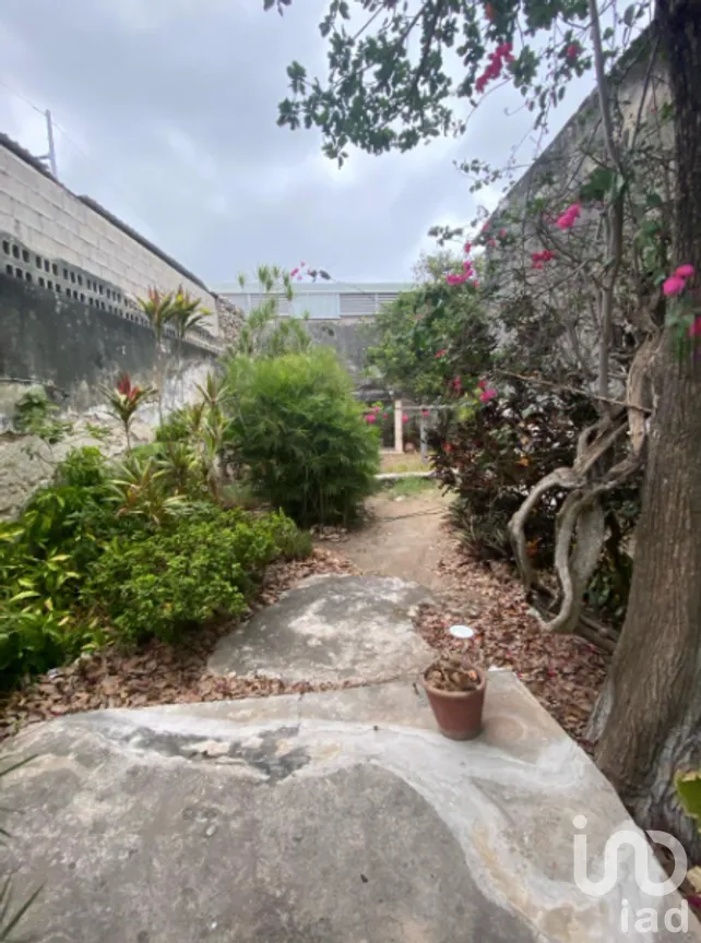 Casa en Venta en Mérida Centro, Mérida, Yucatán | NEX-289129 | iad México | Foto 13 de 18