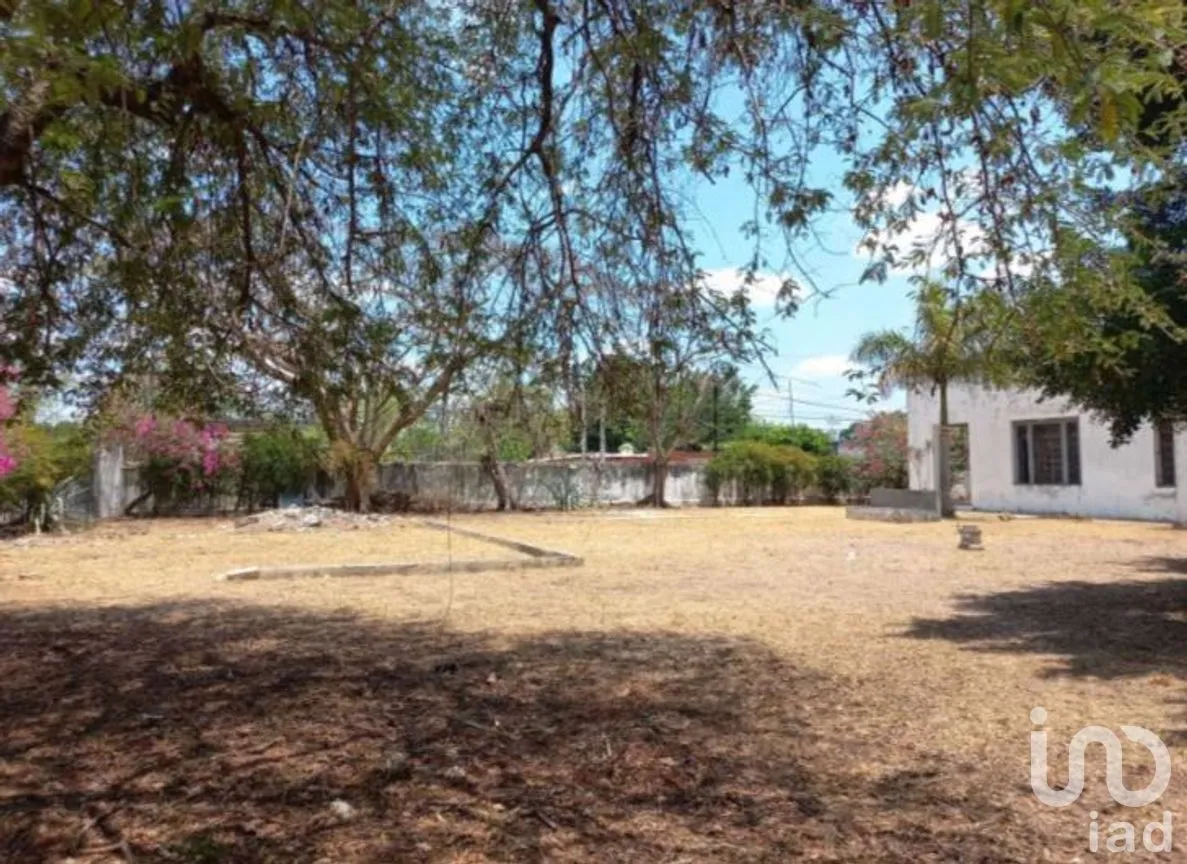 Terreno en Venta en Garcia Gineres, Mérida, Yucatán | NEX-289239 | iad México | Foto 3 de 3
