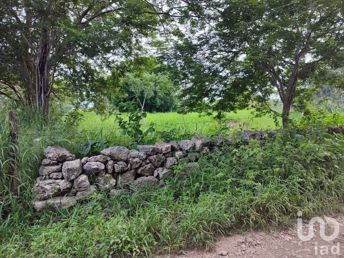 Terreno en Venta en Buctzotz, Buctzotz, Yucatán | NEX-289261 | iad México | Foto 3 de 5