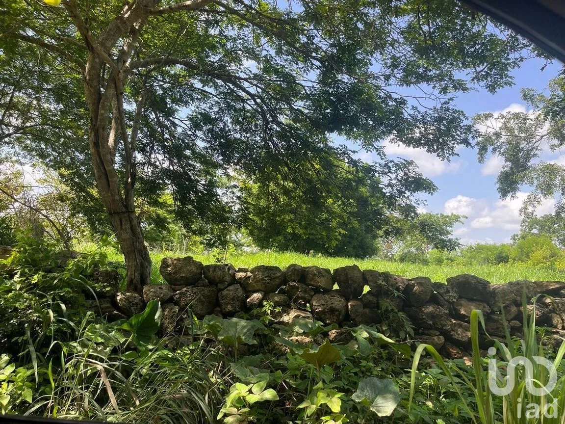 Terreno en Venta en Buctzotz, Buctzotz, Yucatán | NEX-289261 | iad México | Foto 4 de 5
