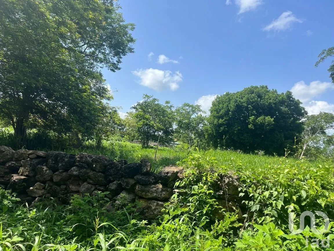 Terreno en Venta en Buctzotz, Buctzotz, Yucatán | NEX-289261 | iad México | Foto 5 de 5