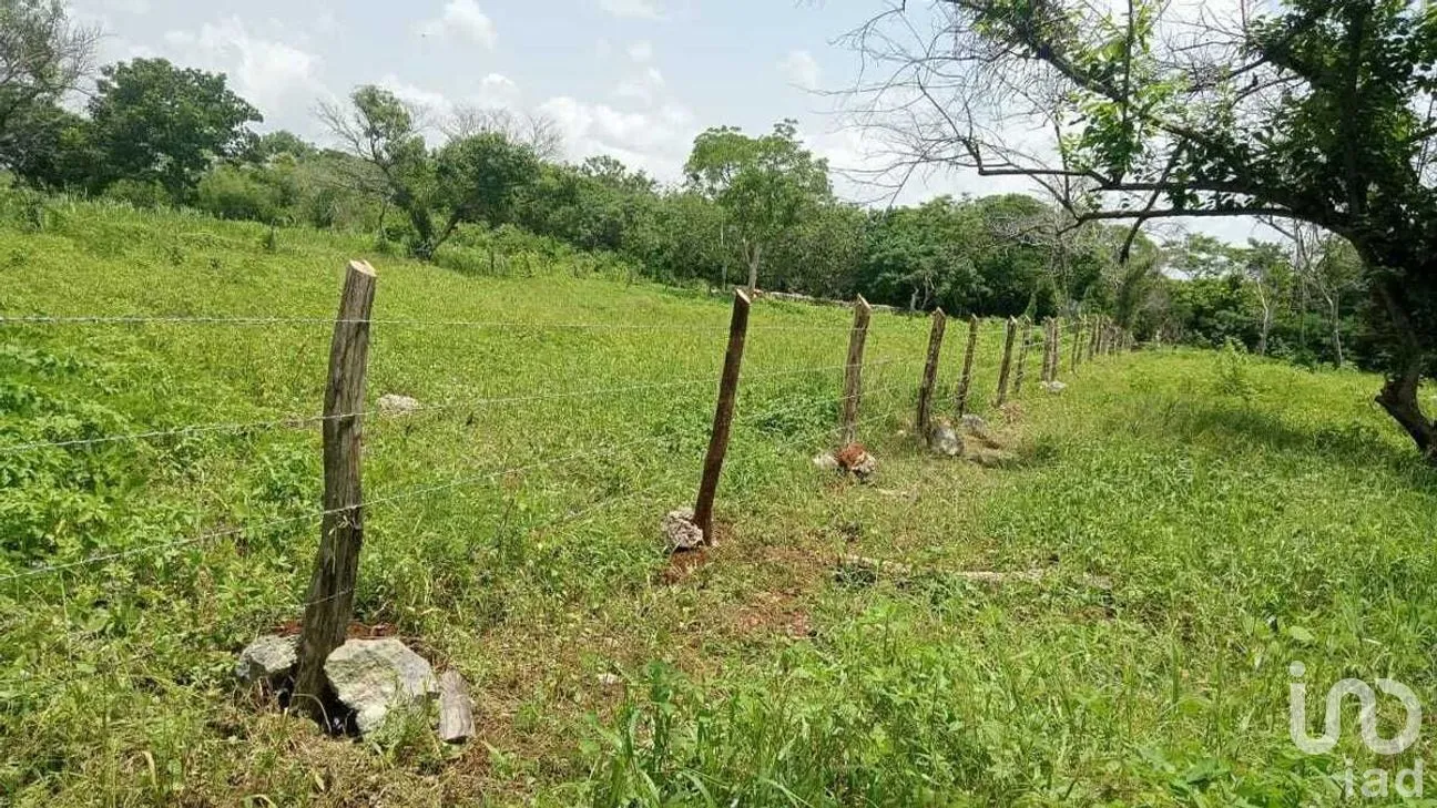 Terreno en Venta en Buctzotz, Buctzotz, Yucatán | NEX-289261 | iad México | Foto 1 de 5