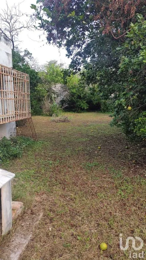 Casa en Venta en Miguel Alemán, Mérida, Yucatán | NEX-289265 | iad México | Foto 17 de 21