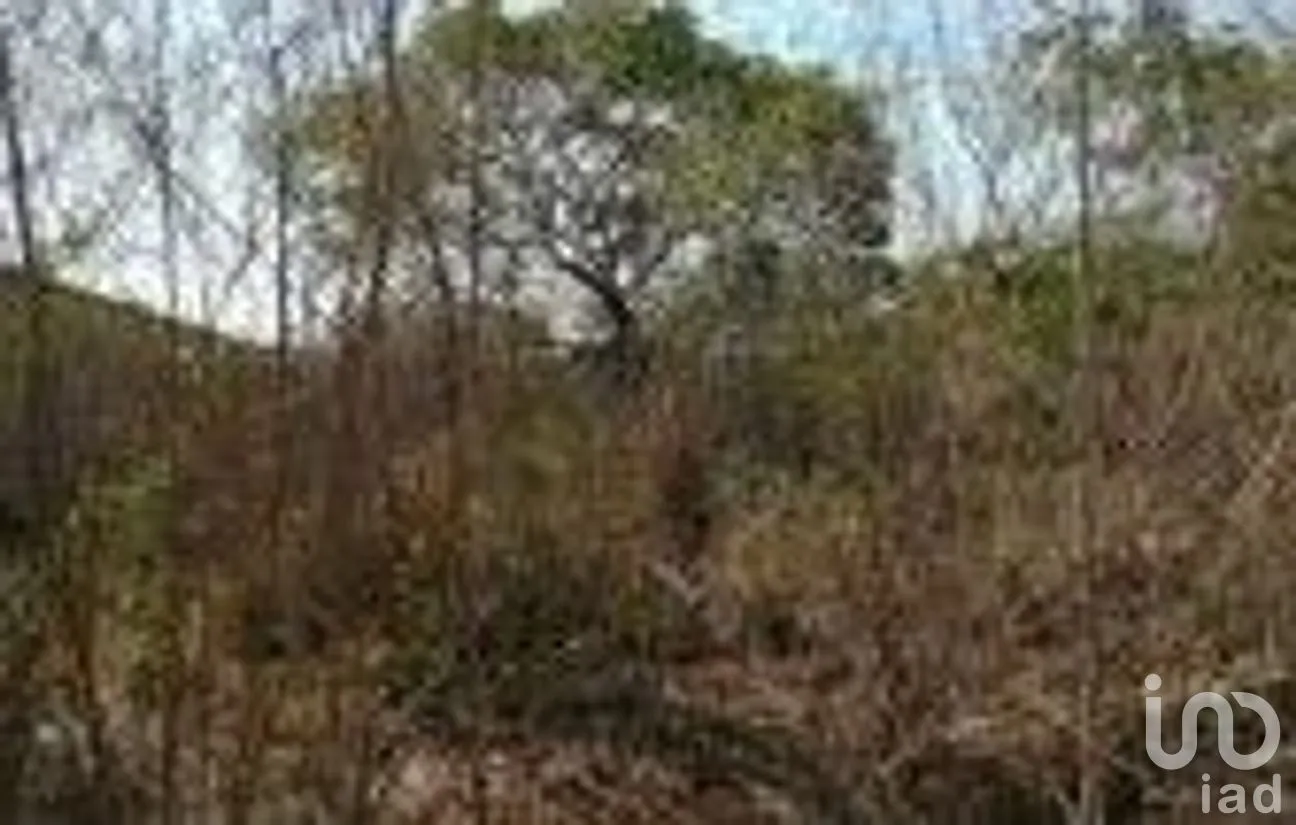 Terreno en Venta en Cholul, Mérida, Yucatán | NEX-289278 | iad México | Foto 2 de 3