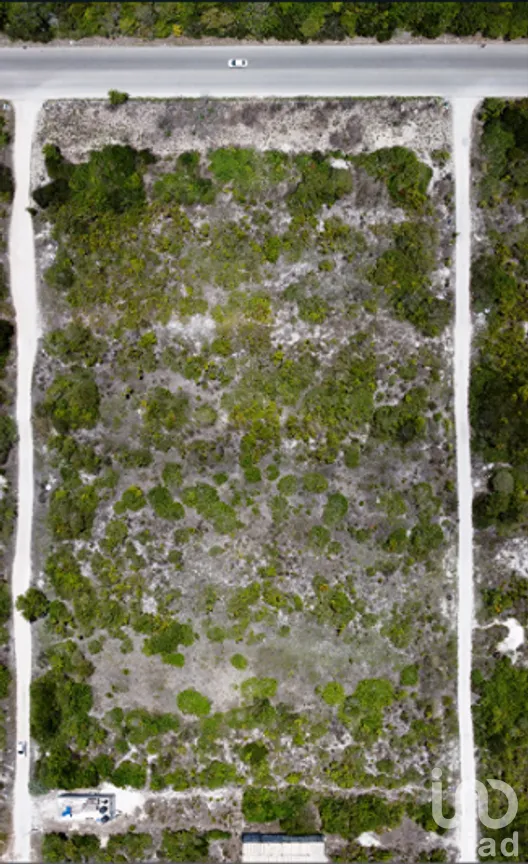 Terreno en Venta en Chicxulub Puerto, Progreso, Yucatán | NEX-289284 | iad México | Foto 6 de 13