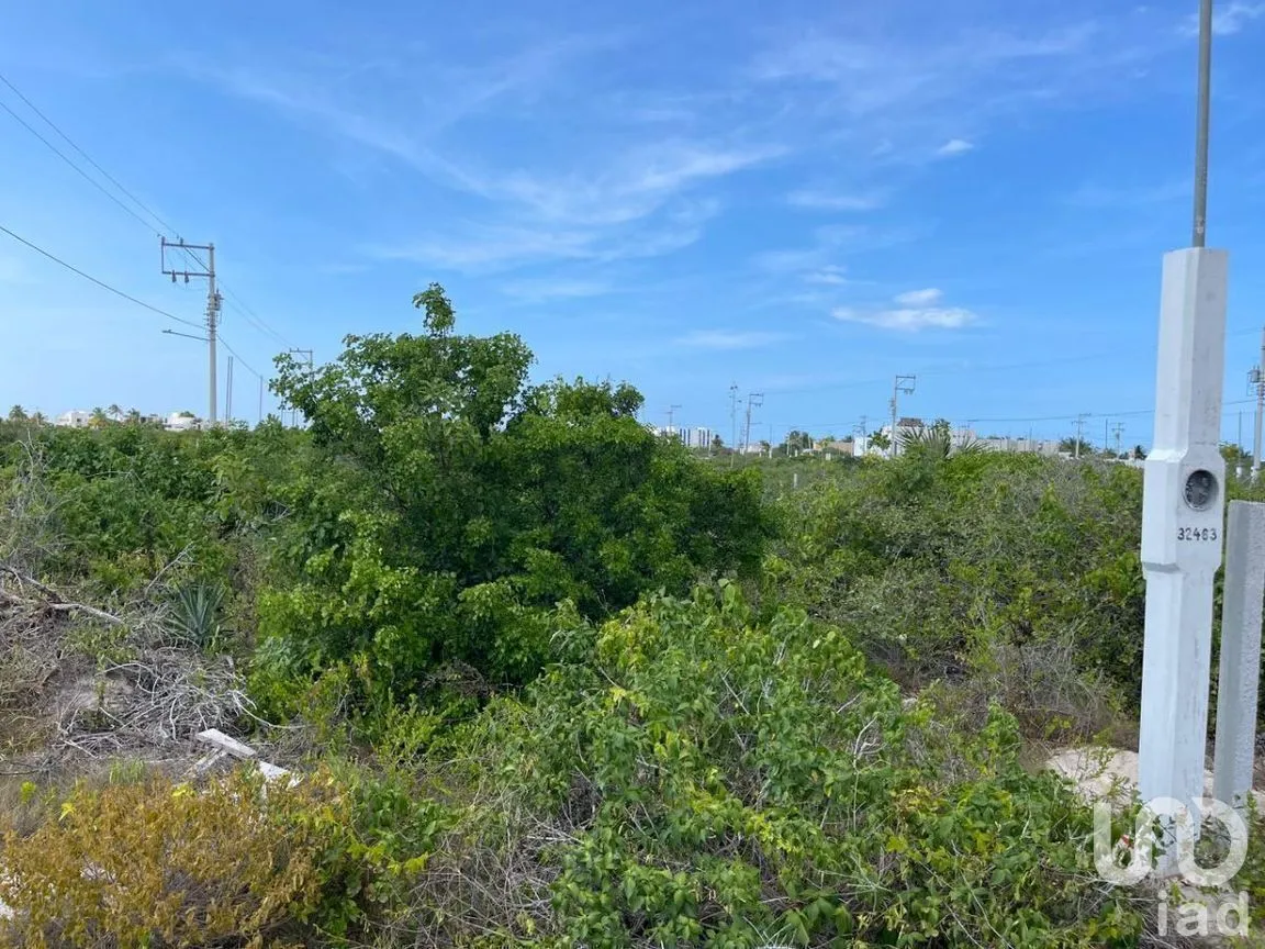 Terreno en Venta en Chicxulub Puerto, Progreso, Yucatán | NEX-289288 | iad México | Foto 3 de 4