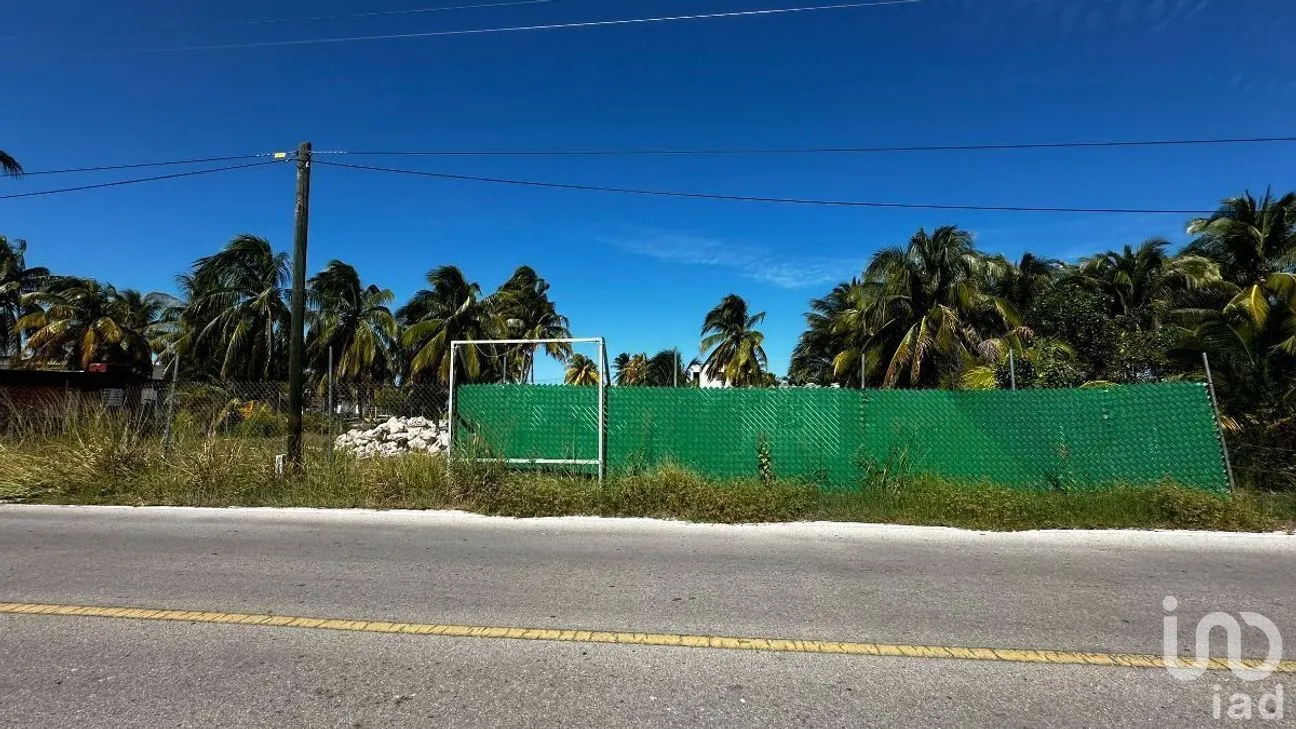 Terreno en Venta en San Crisanto, Sinanché, Yucatán | NEX-289289 | iad México | Foto 2 de 2