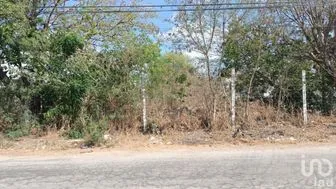 NEX-289298 - Terreno en Venta en Maya, CP 97134, Yucatán.