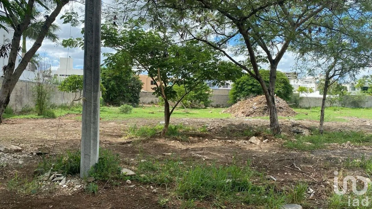 Terreno en Venta en México Norte, Mérida, Yucatán | NEX-289307 | iad México | Foto 2 de 4