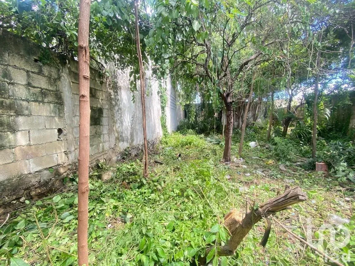 Casa en Venta en Mérida Centro, Mérida, Yucatán | NEX-289329 | iad México | Foto 9 de 9