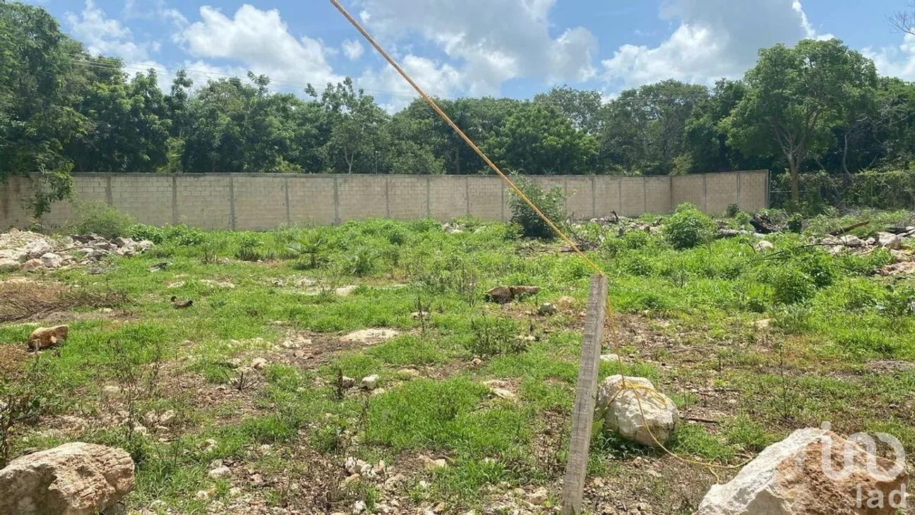 Terreno en Venta en Conkal, Conkal, Yucatán | NEX-290306 | iad México | Foto 2 de 2