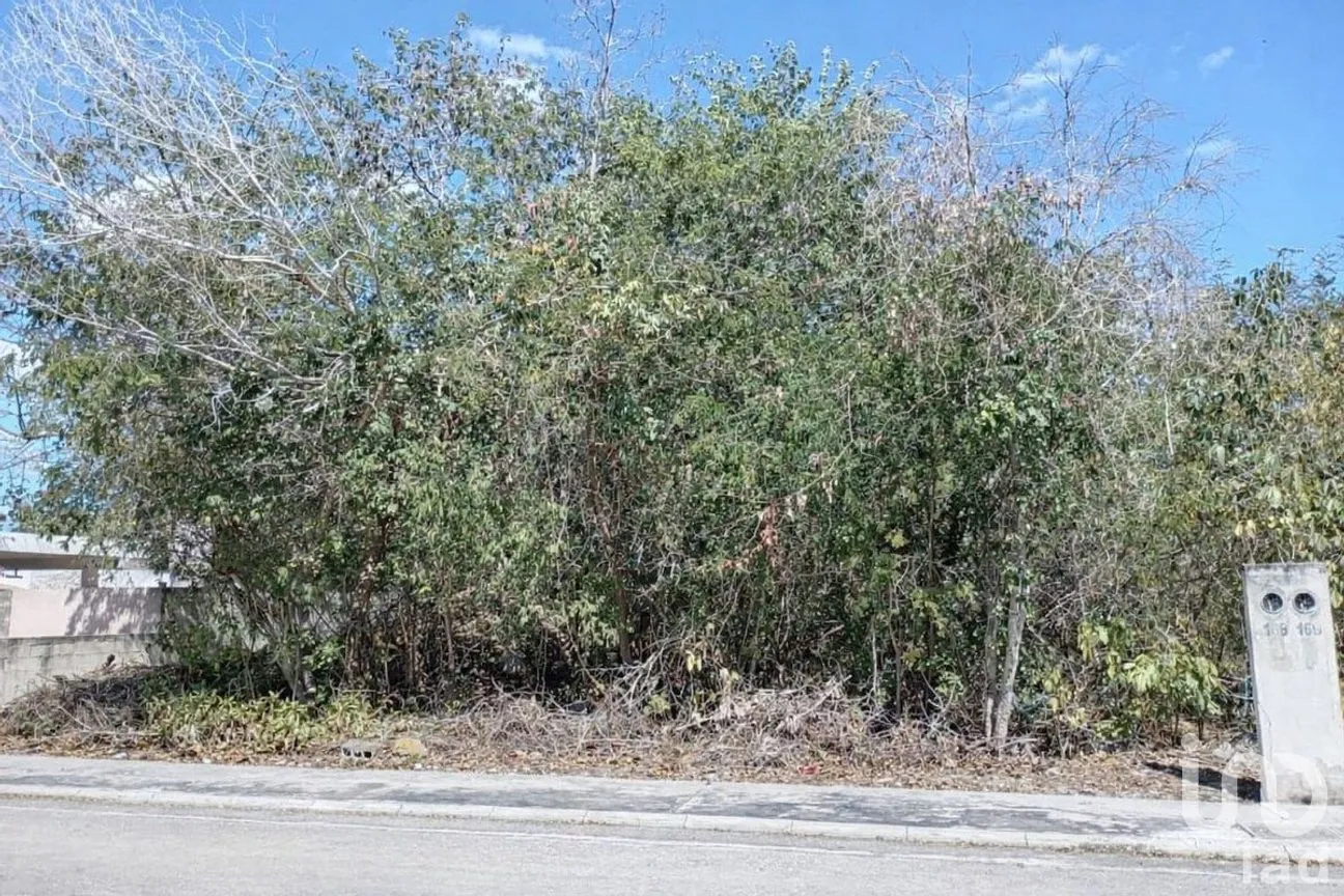 Terreno en Venta en La Rejoyada, Mérida, Yucatán | NEX-292271 | iad México | Foto 5 de 7