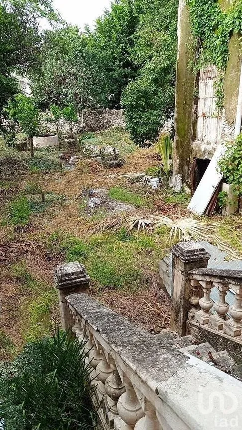 Casa en Venta en Mérida Centro, Mérida, Yucatán | NEX-292441 | iad México | Foto 13 de 13