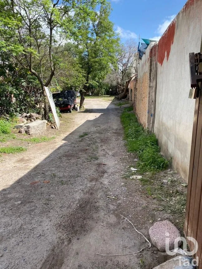 Terreno en Venta en Apostólica, San Luis Potosí, San Luis Potosí | NEX-228278 | iad México | Foto 3 de 10