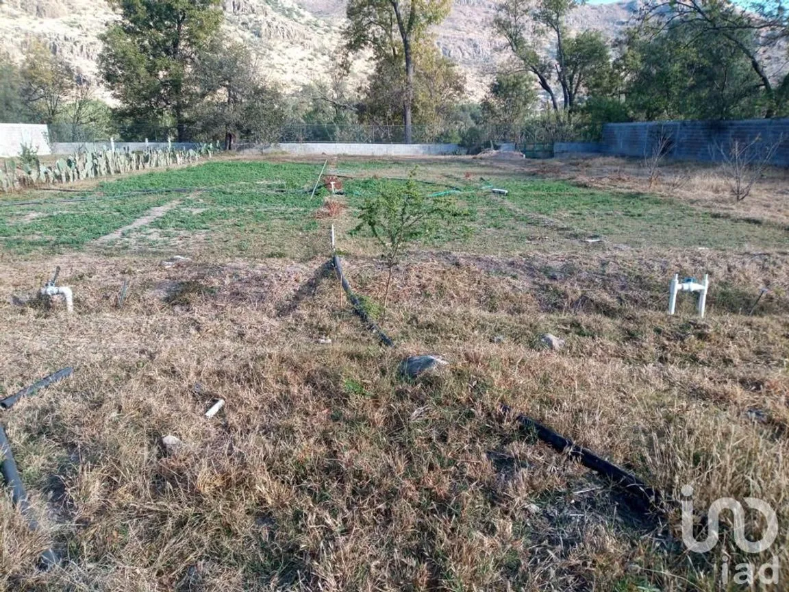 Terreno en Venta en Cuartel Once, Santa María del Río, San Luis Potosí | NEX-228282 | iad México | Foto 2 de 5