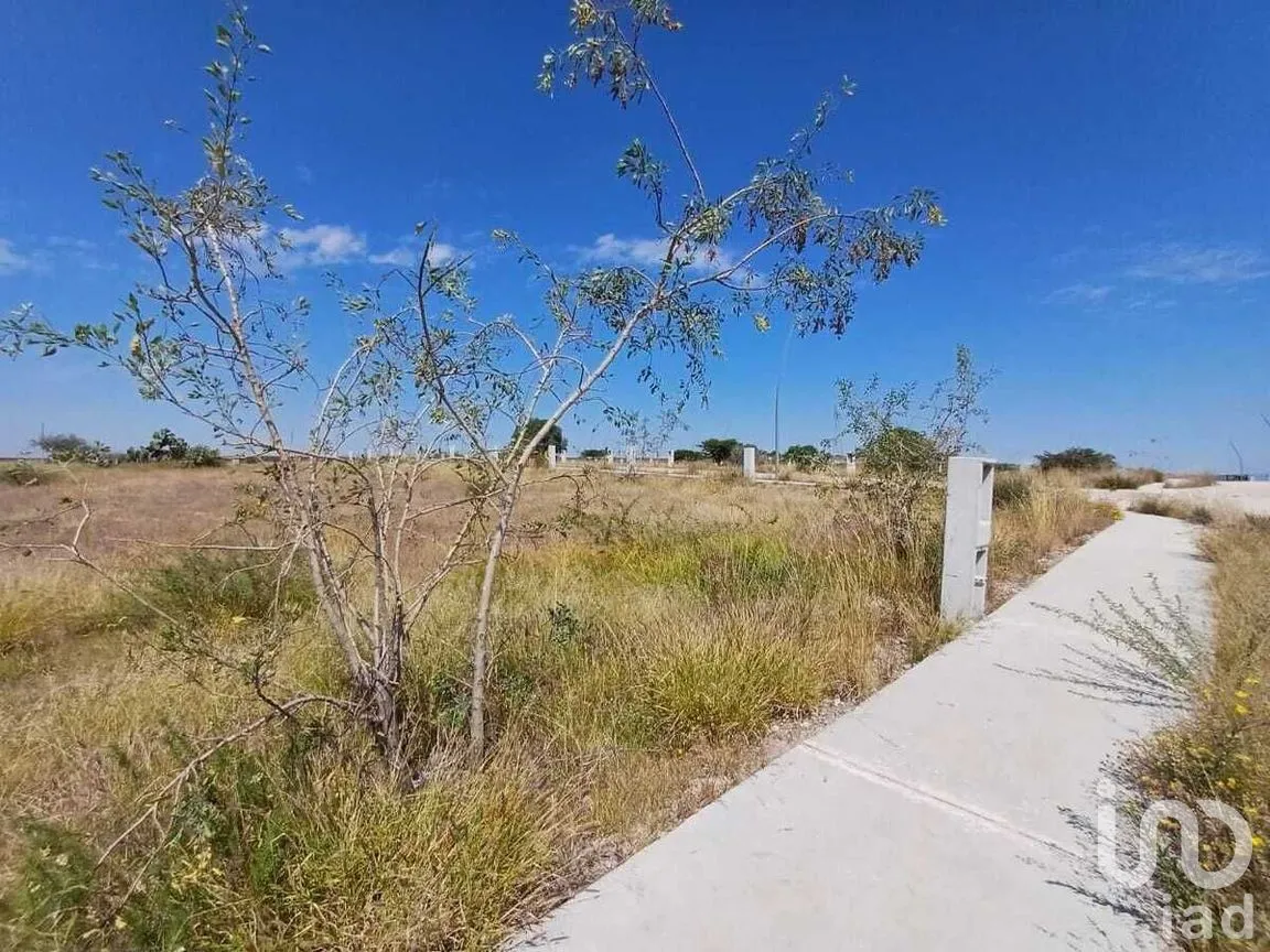 Terreno en Venta en Lomas de la Virgen, San Luis Potosí, San Luis Potosí | NEX-267945 | iad México | Foto 1 de 7