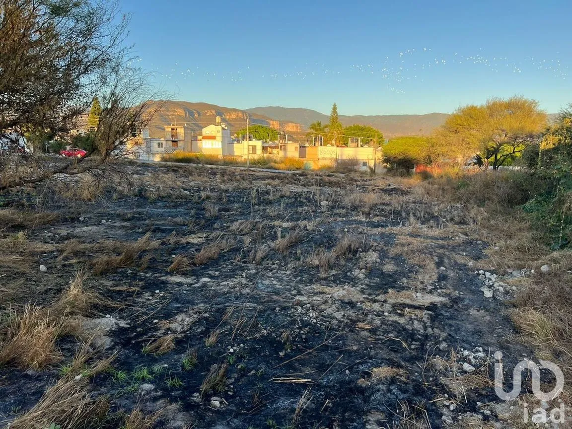 Terreno en Venta en San Diego Chalma, Tehuacán, Puebla | NEX-276615 | iad México | Foto 3 de 5