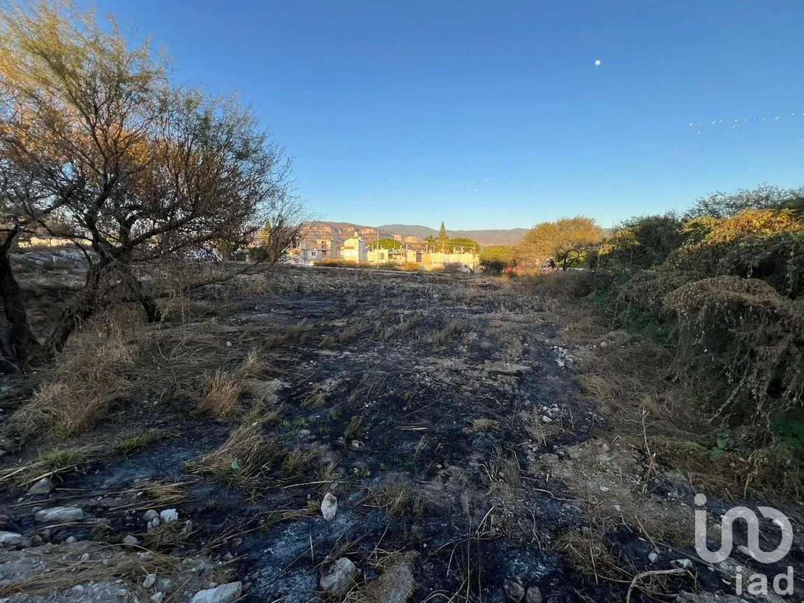 Terreno en Venta en San Diego Chalma, Tehuacán, Puebla | NEX-276615 | iad México | Foto 4 de 5