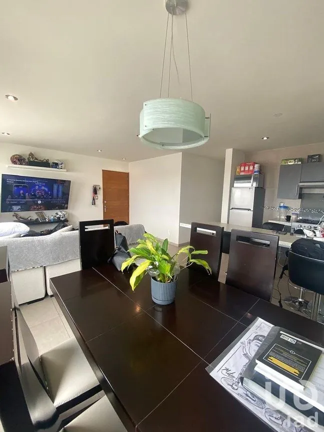 Departamento en Renta en Villa Magna, San Luis Potosí, San Luis Potosí | NEX-288540 | iad México | Foto 5 de 15