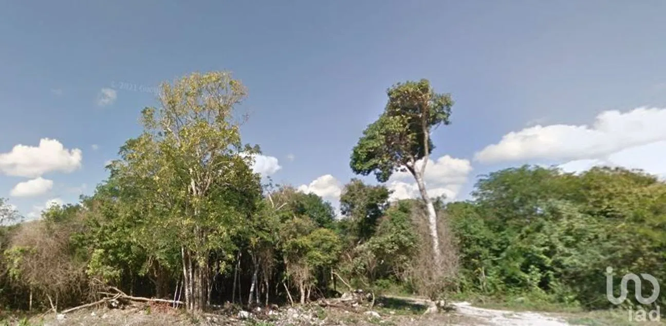 Terreno en Venta en Villas Tulum, Tulum, Quintana Roo | NEX-227180 | iad México | Foto 4 de 5