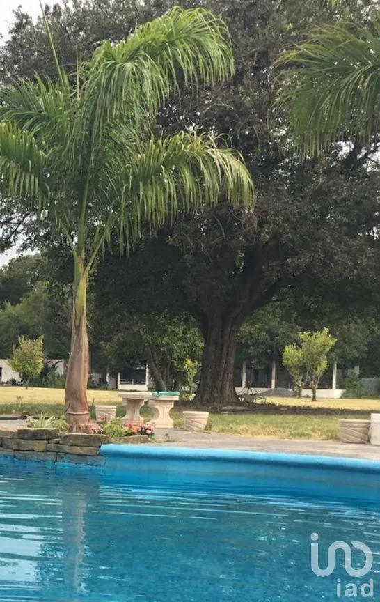 Terreno en Venta en Morelos I, Montemorelos, Nuevo León | NEX-290745 | iad México | Foto 4 de 10