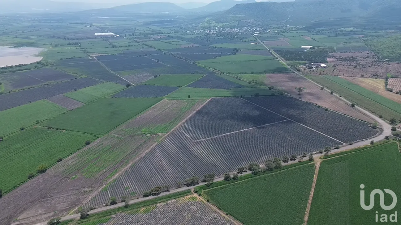 Terreno en Venta en Lindavista, Ocotlán, Jalisco | NEX-229476 | iad México | Foto 4 de 6