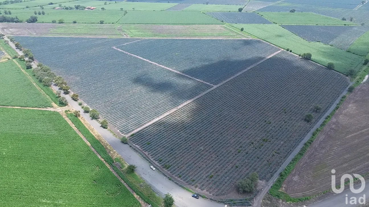 Terreno en Venta en Lindavista, Ocotlán, Jalisco | NEX-229476 | iad México | Foto 5 de 6