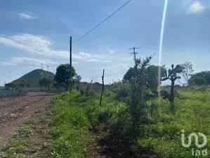 NEX-268161 - Terreno en Venta en Cuitzeo, CP 45965, Jalisco.