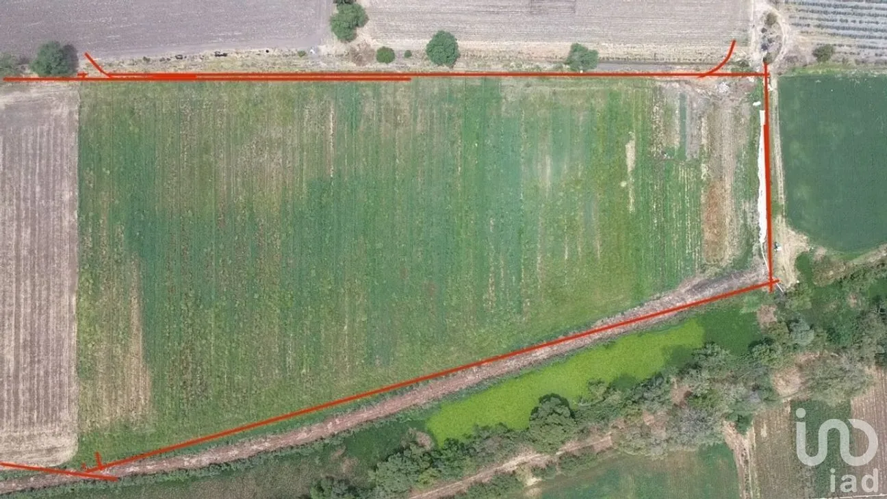 Terreno en Venta en San Martín de Zula, Ocotlán, Jalisco | NEX-270426 | iad México | Foto 2 de 4