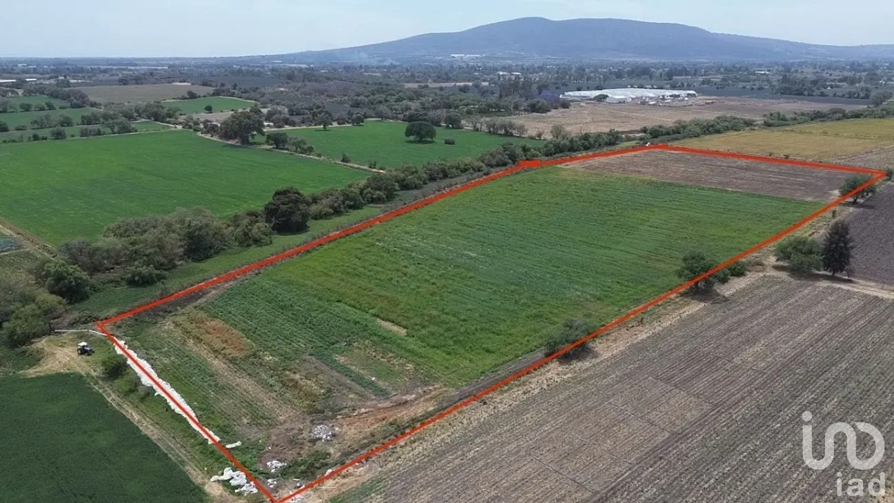 Terreno en Venta en San Martín de Zula, Ocotlán, Jalisco | NEX-270426 | iad México | Foto 3 de 4