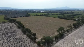 NEX-270490 - Terreno en Venta en Carretera, CP 47870, Jalisco.