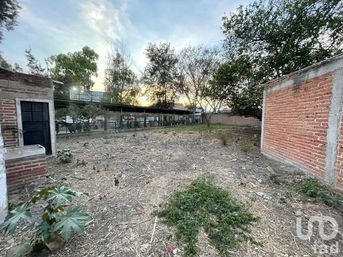 Terreno en Venta en La Primavera, Ocotlán, Jalisco | NEX-272468 | iad México | Foto 3 de 13