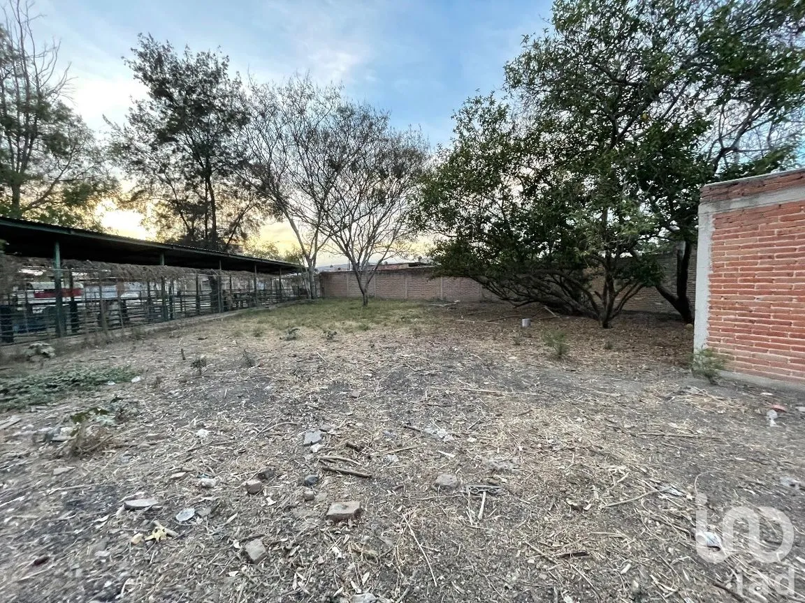 Terreno en Venta en La Primavera, Ocotlán, Jalisco | NEX-272468 | iad México | Foto 4 de 13