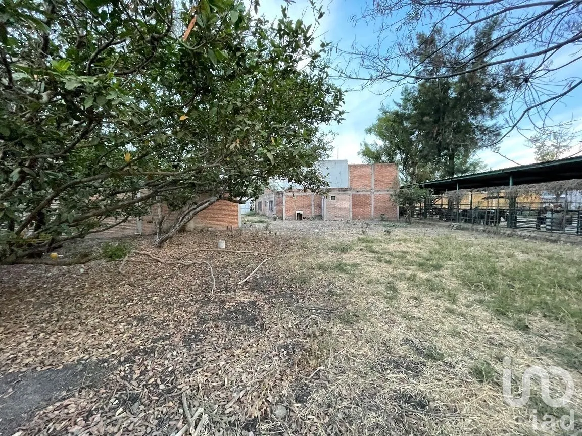 Terreno en Venta en La Primavera, Ocotlán, Jalisco | NEX-272468 | iad México | Foto 6 de 13