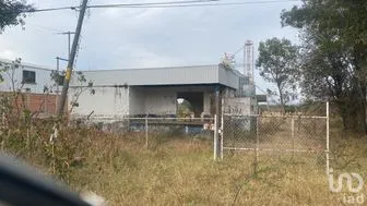 NEX-274684 - Terreno en Renta en Carretera, CP 47870, Jalisco.