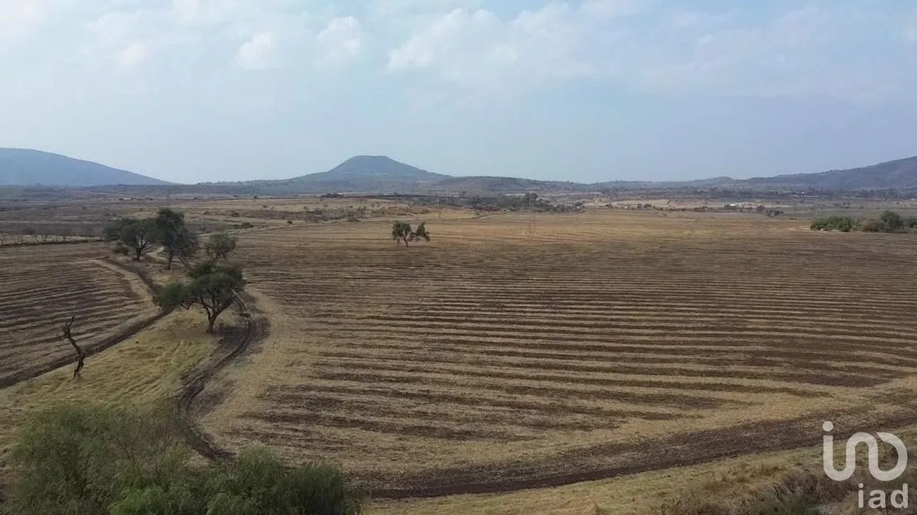Terreno en Venta en Olímpica, Poncitlán, Jalisco | NEX-275264 | iad México | Foto 2 de 7