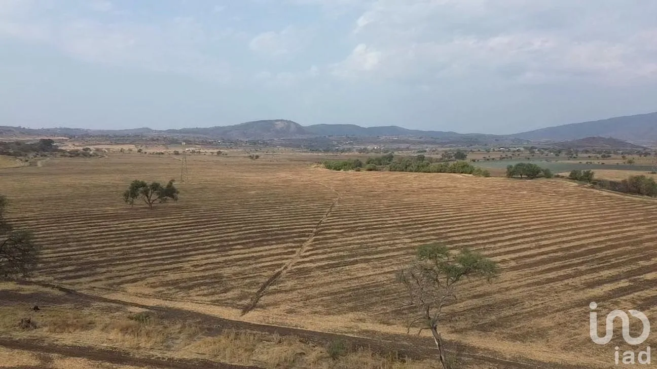Terreno en Venta en Olímpica, Poncitlán, Jalisco | NEX-275264 | iad México | Foto 5 de 7