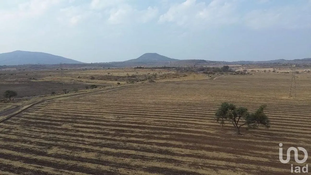 Terreno en Venta en Olímpica, Poncitlán, Jalisco | NEX-275264 | iad México | Foto 6 de 7